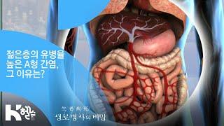 [생로병사의 비밀] - 젊은층의 유병율 높은 A형 간염, 그 이유는?