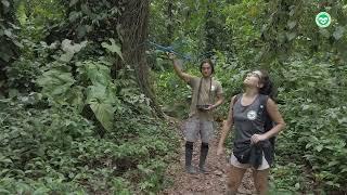 The Sloth Tracking Experience | The Sloth Conservation Foundation