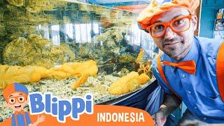 Belajar Tentang Hewan Bawah Air Dengan Blippi | Blippi Bahasa Indonesia - video edukasi anak