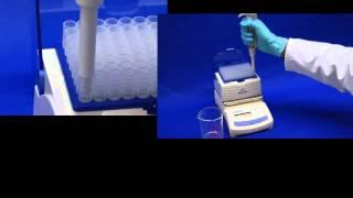 Eppendorf Research Plus - Pipette.com