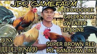 FARM TOUR I JDR GAMFARM BOSS JIJI DEL ROSARIO 15 YEARS NA AKONG MAG MAMANOK