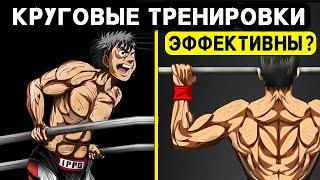 Стоит ли делать круговые тренировки? Плюсы и Минусы @kuznetsov_alexander