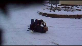 Marmite Basset Hound sledging