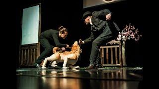 Hachiko reż. Ewa Piotrowska, scen. Yumi Hayashi - Teatr Maska w Rzeszowie