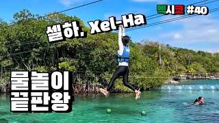  셀하(Xel-Há), 얼마까지 알아보셨어요? [플라야델카르멘1]