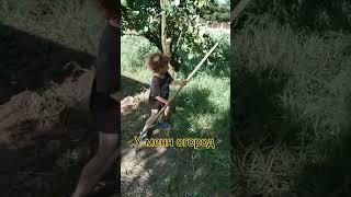 Богдан- маленький агроном . #дети #село #крым #огород