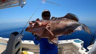 2 Hours of Eating Whatever I Catch in Florida - Saltwater Fishing in the Gulf of Mexico