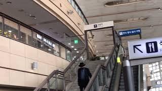동대구역 Dongdaegu Station
