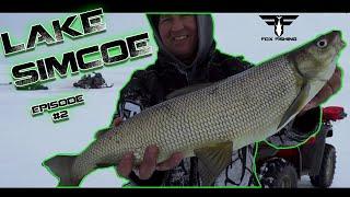 Lake Simcoe Episode #2 Whitefish. Fox Fishing 4k Ultra HD