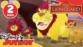 The Lion Guard | Looking Like Lions | Disney Kids