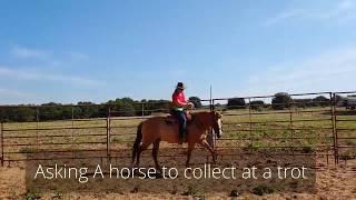 How to get a horse to Collect at a trot in a Western Saddle