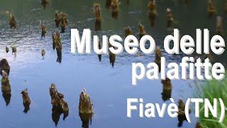 Visiting Museo delle Palafitte of Fiavè, Italy