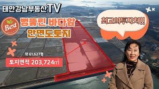 (최고의투자처!!)뻥뚫린바다앞 안면도토지/태안토지/투자처로 훌륭한 답과 유지~/태안강남부동산