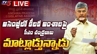 LIVE : CM Chandrababu Powerful SPEECH Over Irrigation Department in AP Assembly Sessions | TV5 News