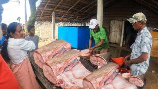 Wow! Beautiful Countryside Village Fish Market And Tough Day In Fishermen's Lives