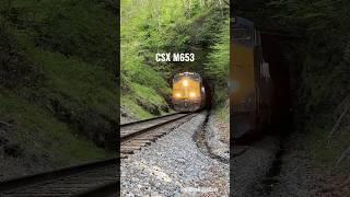 CSX Train comes through Blue Ridge Tunnel #csxstrains #clinchfield #tunnel