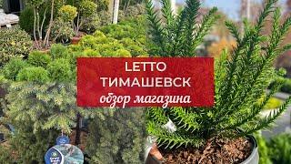 Один из семи садовых центров LETTO сегодня в нашем обзоре