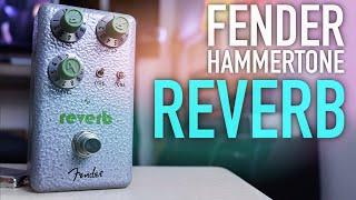 Fender Hammertone Reverb | Great Reverb at a GREAT Price