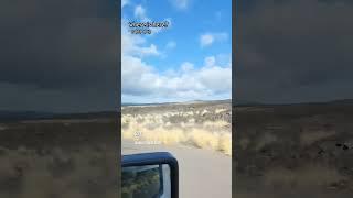 Drive in the Big Island, Hawaii