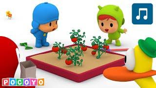  POCOYO : Nina avait une FERME  | Chanson pour enfant | Animaj Kids