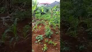 Dry Land for sale in Agbara