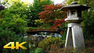 JAPANESE GARDEN in 4K HDR UHD /Nature sounds for reading, relaxation, meditation, yoga - 7HOURS