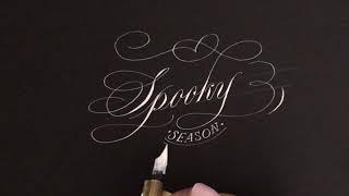 Calligraphy Video Compilation - Pointed Pen Calligraphy by SarahScript