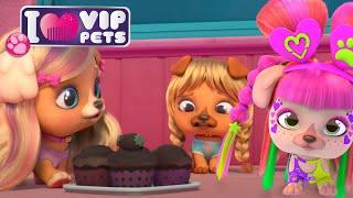 VIP PETS Season 1 Adventures!! Full Episodes of ALL S1 Compilation!  Enjoy Cartoons for Kids