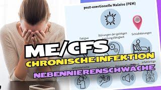 Ist ME/CFS hauptsächlich eine Nebennierenschwäche?