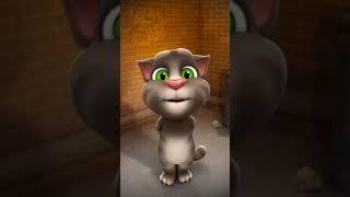 Aap jao Makka khane  #cat #trending #talkingtom #viralvideos #funny #youtubeshorts #shorts