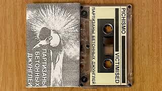 Pichismo / Victimised / Кариес / Свиньи В Космосе – Партизаны Бетонных Джунглей Split Tape 2000