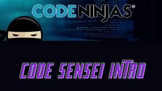 Code Sensei Intro