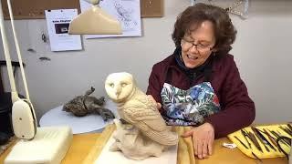 Session 14: Create a Barn Owl Sculpture in Clay