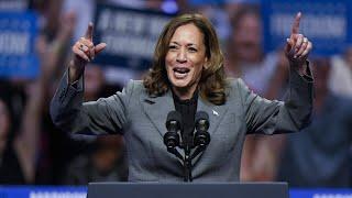 Kamala Harris latest ad campaign sets a new record for 'cringe -worthy pandering'