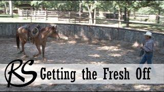 Getting the Fresh Off & Warming Up in the Round Pen -Everyday Horsemanship with Craig Cameron