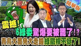 震撼!6綠委驚爆要被罷了!?青鳥大罷免大走鐘"綠鐵桿不挺了!"【#週末大爆卦】精華版3 @大新聞大爆卦HotNewsTalk