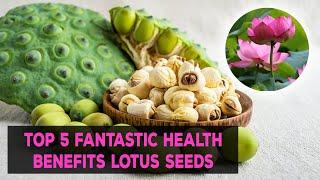 Lotus Seeds & Top 5 Fantastic Health Benefits Of Lotus Seeds