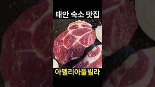 유료광고포함) 태안 여행 숙소 맛집 / 아멜리아풀빌라 / 재방문각