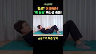 뱃살 쏙 + 허리통증 완화!! 이운동 하나로 해결~