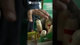 한라산 담배와 천하장사 소시지 #머니백 #이경영 #shorts
