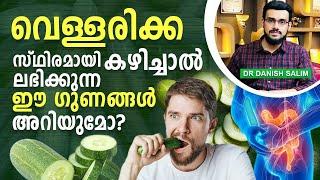 1819: വെള്ളരിക്കയുടെ ഈ ഗുണങ്ങൾ അറിയുമോ?  Cucumber amazing benefits