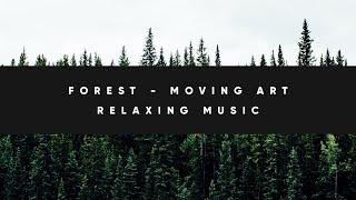 Forest Moving Art | Relaxing Music | 10 HOURS