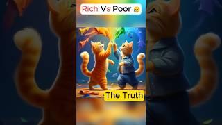 Rich  Vs Poor ️ #shorts #cat #cute #catlover #kitten