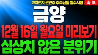 [2차전지] [금양 금양주가 금양주가전망]🟡주가폭등 12월 16일 월요일 주가전망 미리보기