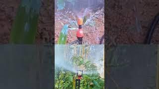 best lawn sprinklers irrigation control #shorts #status #Hydroponics #Fertilizer #Rainfall #seeds