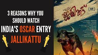 3 Reasons Why You Should Watch India's Oscar Entry JALLIKATTU