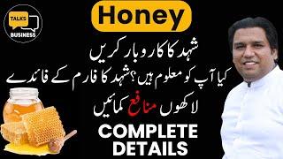 How to Start Honey Beekeeping Business in Pakistan - Complete Step-by-Step Guide!!!