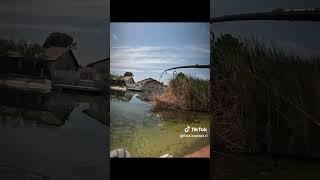 cage rage Outdoors fishing