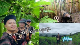 #EP _6 ( Today we go to the agriculture ) #peacefully #Beautifulmountainview #kawthooleikarenjungle