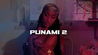 "Punami 2"  Dancehall Shatta Riddim Instrumental